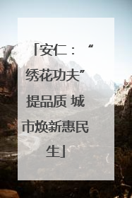 安仁：“绣花功夫”提品质 城市焕新惠民生