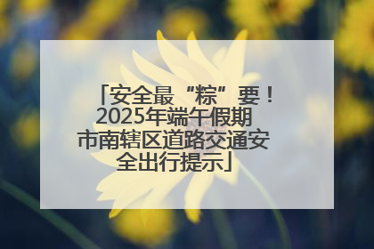 安全最“粽”要！2025年端午假期市南辖区道路交通安全出行提示