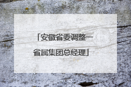 安徽省委调整一省属集团总经理