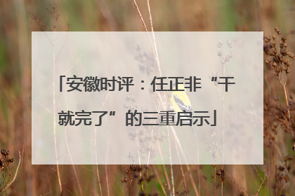 安徽时评：任正非“干就完了”的三重启示