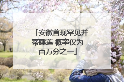 安徽首现罕见并蒂睡莲 概率仅为百万分之一