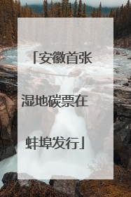 安徽首张湿地碳票在蚌埠发行