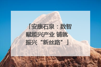 安康石泉：数智赋能兴产业 铺就振兴“新丝路”