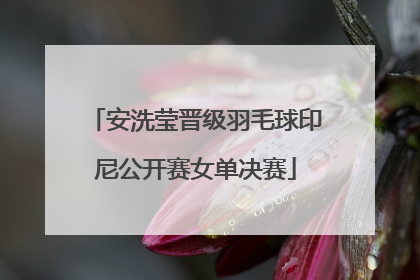 安洗莹晋级羽毛球印尼公开赛女单决赛