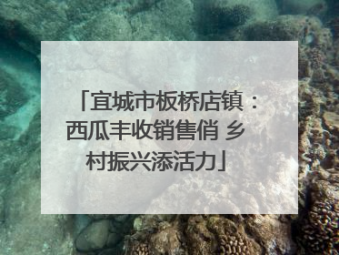 宜城市板桥店镇：西瓜丰收销售俏 乡村振兴添活力