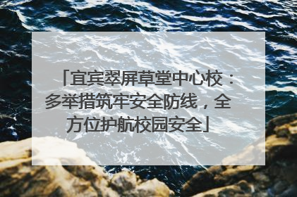 宜宾翠屏草堂中心校：多举措筑牢安全防线，全方位护航校园安全