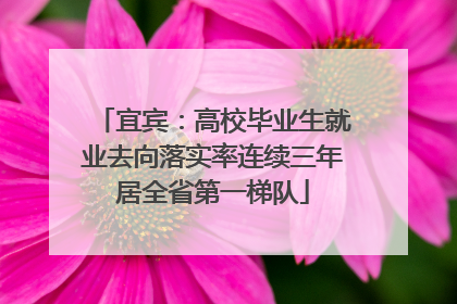 宜宾：高校毕业生就业去向落实率连续三年居全省第一梯队