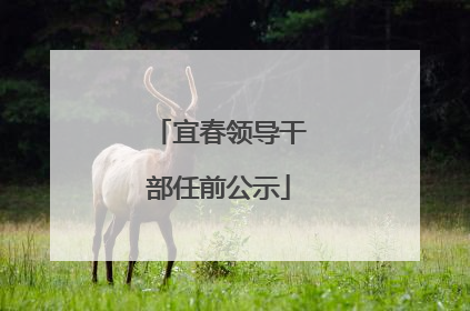宜春领导干部任前公示