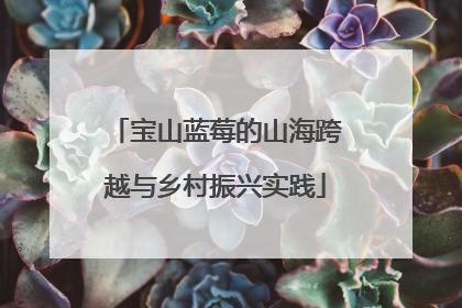 宝山蓝莓的山海跨越与乡村振兴实践
