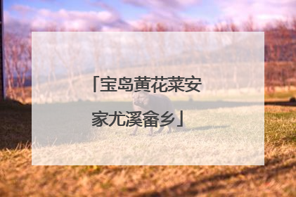 宝岛黄花菜安家尤溪畲乡