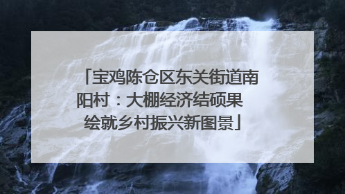 宝鸡陈仓区东关街道南阳村：大棚经济结硕果 绘就乡村振兴新图景