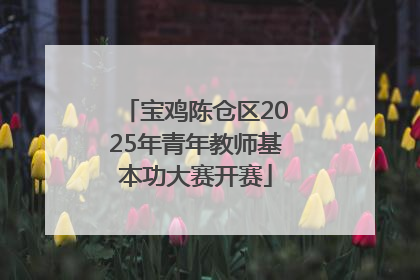 宝鸡陈仓区2025年青年教师基本功大赛开赛