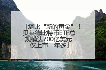 堪比“新的黄金”！贝莱德比特币ETF总规模达700亿美元 仅上市一年多