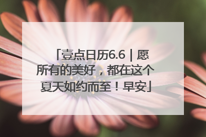 壹点日历6.6｜愿所有的美好，都在这个夏天如约而至！早安