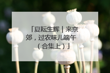 夏耘生辉｜来京郊，过农味儿端午（合集上）