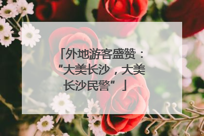 外地游客盛赞：“大美长沙，大美长沙民警”