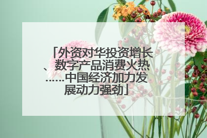 外资对华投资增长、数字产品消费火热……中国经济加力发展动力强劲
