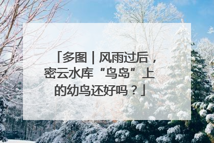 多图｜风雨过后，密云水库“鸟岛”上的幼鸟还好吗？