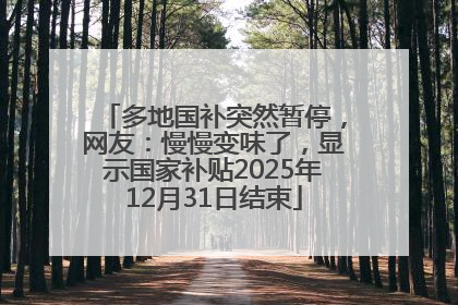 多地国补突然暂停，网友：慢慢变味了，显示国家补贴2025年12月31日结束