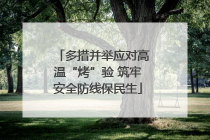 多措并举应对高温“烤”验 筑牢安全防线保民生