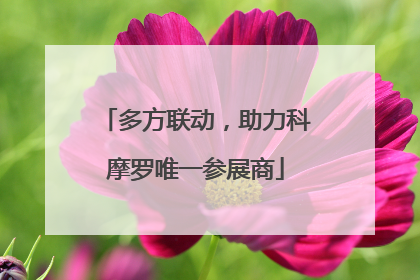 多方联动，助力科摩罗唯一参展商