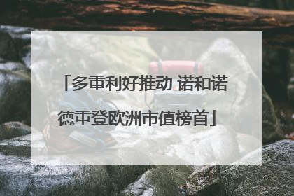 多重利好推动 诺和诺德重登欧洲市值榜首