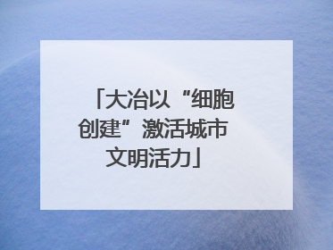 大冶以“细胞创建”激活城市文明活力