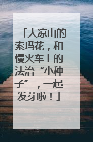 大凉山的索玛花，和慢火车上的法治“小种子”，一起发芽啦！