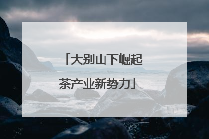 大别山下崛起茶产业新势力