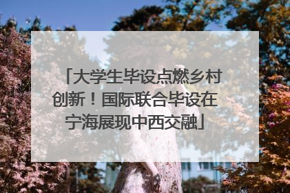 大学生毕设点燃乡村创新！国际联合毕设在宁海展现中西交融