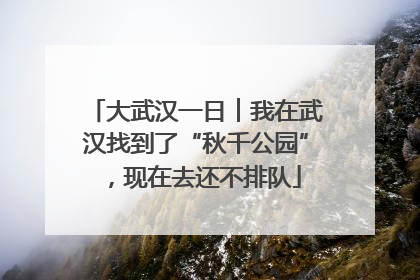 大武汉一日︱我在武汉找到了“秋千公园”，现在去还不排队