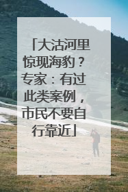 大沽河里惊现海豹？专家：有过此类案例，市民不要自行靠近