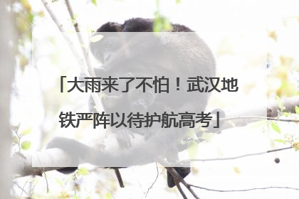 大雨来了不怕！武汉地铁严阵以待护航高考
