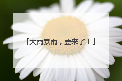 大雨暴雨，要来了！