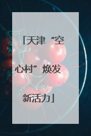 天津“空心村”焕发新活力
