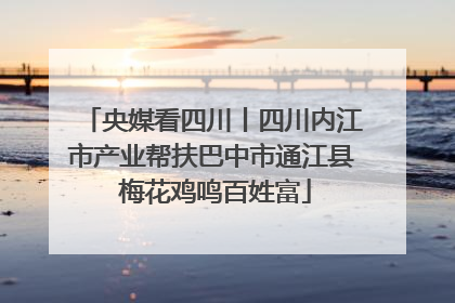 央媒看四川丨四川内江市产业帮扶巴中市通江县 梅花鸡鸣百姓富