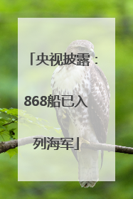 央视披露：868船已入列海军