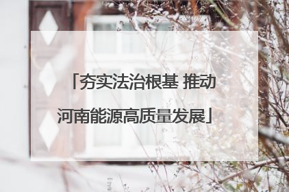夯实法治根基 推动河南能源高质量发展
