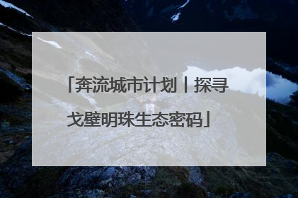 奔流城市计划丨探寻戈壁明珠生态密码