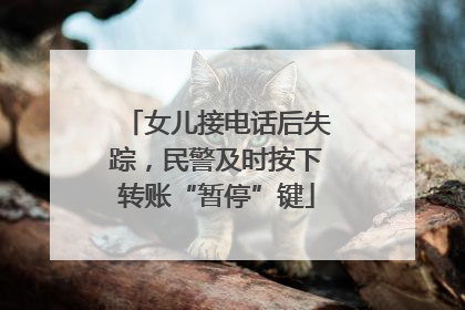 女儿接电话后失踪，民警及时按下转账“暂停”键