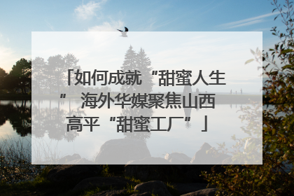 如何成就“甜蜜人生” 海外华媒聚焦山西高平“甜蜜工厂”