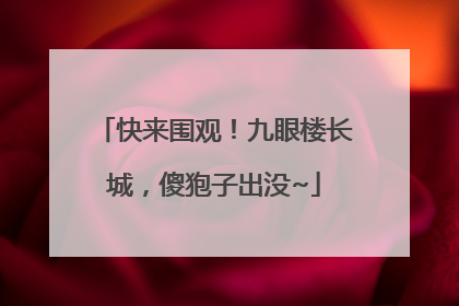 快来围观！九眼楼长城，傻狍子出没~