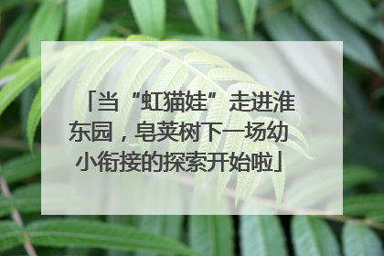 当“虹猫娃”走进淮东园，皂荚树下一场幼小衔接的探索开始啦