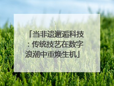 当非遗邂逅科技：传统技艺在数字浪潮中重焕生机