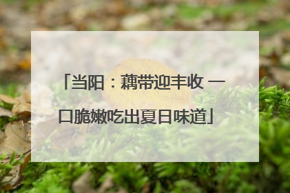 当阳：藕带迎丰收 一口脆嫩吃出夏日味道
