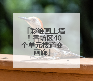 彩绘画上墙！香坊区40个单元楼道变画廊