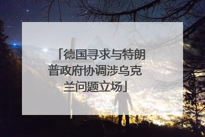德国寻求与特朗普政府协调涉乌克兰问题立场