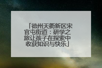 德州天衢新区宋官屯街道：研学之旅让孩子在探索中收获知识与快乐