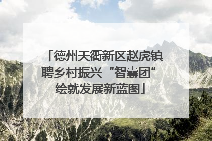 德州天衢新区赵虎镇聘乡村振兴“智囊团” 绘就发展新蓝图