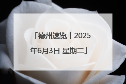 德州速览丨2025年6月3日 星期二